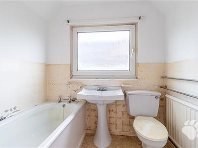Picture 21